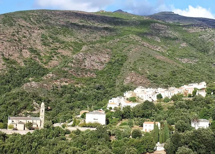 Location Proche Saint-florent Farinole