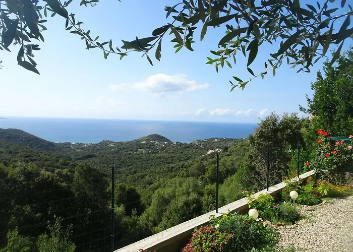 Location Proche Saint-florent * Farinole